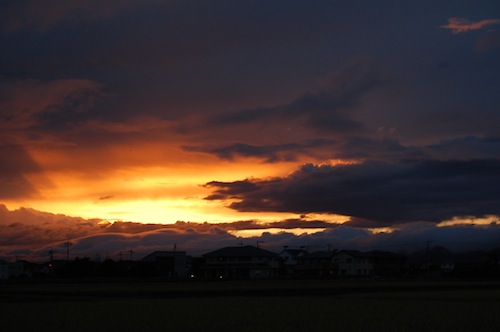 DSC_0015.JPG