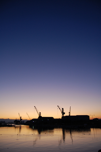 DSC_1203.JPG