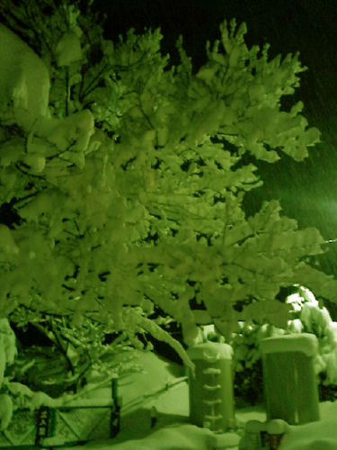 L01A0473.JPG